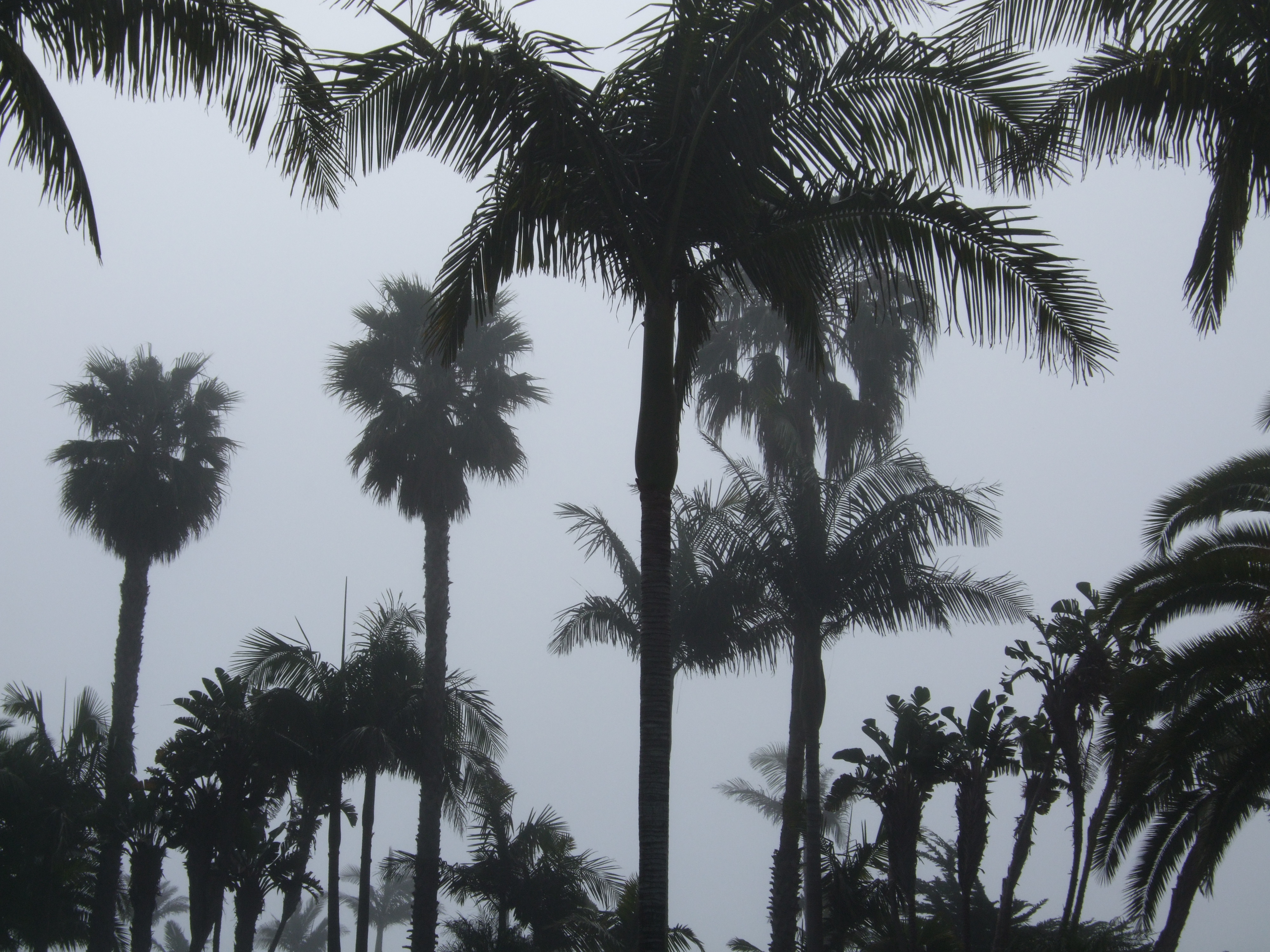 Foto's Lisette tot 21 juli 2009 195